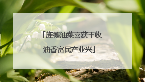 旌德油菜喜获丰收 油香富民产业兴