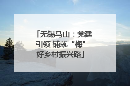 无锡马山：党建引领 铺就“梅”好乡村振兴路