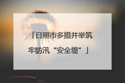 日照市多措并举筑牢防汛“安全堤”