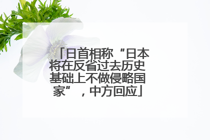 日首相称“日本将在反省过去历史基础上不做侵略国家”，中方回应