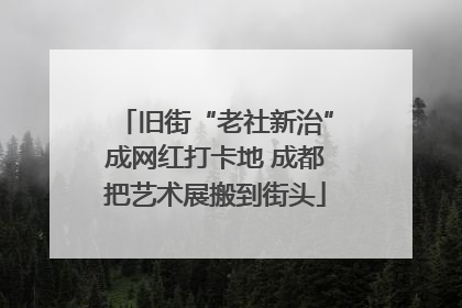 旧街“老社新治”成网红打卡地 成都把艺术展搬到街头