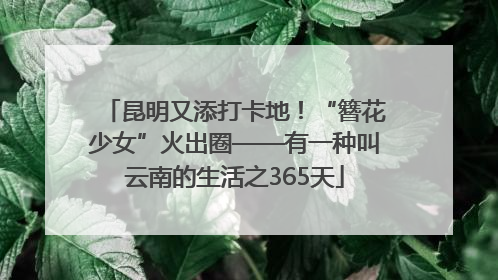 昆明又添打卡地！“簪花少女”火出圈——有一种叫云南的生活之365天