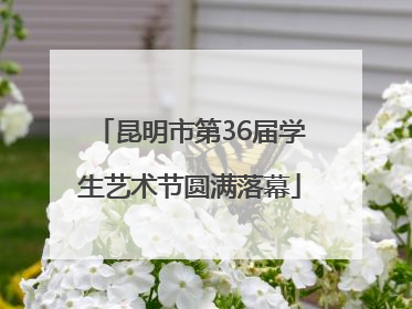 昆明市第36届学生艺术节圆满落幕