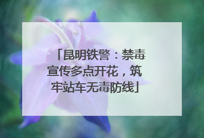 昆明铁警：禁毒宣传多点开花，筑牢站车无毒防线