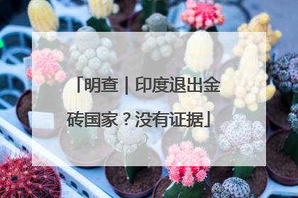 明查｜印度退出金砖国家？没有证据