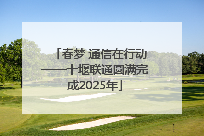 春梦 通信在行动——十堰联通圆满完成2025年