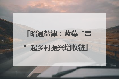 昭通盐津：蓝莓“串”起乡村振兴增收链