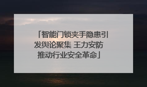 智能门锁夹手隐患引发舆论聚集 王力安防推动行业安全革命