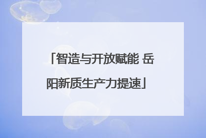 智造与开放赋能 岳阳新质生产力提速