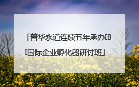 普华永道连续五年承办IBI国际企业孵化器研讨班