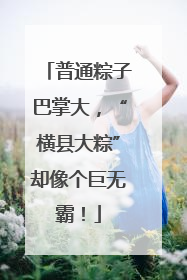 普通粽子巴掌大，“横县大粽”却像个巨无霸！