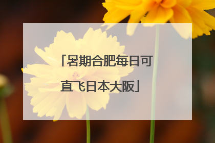 暑期合肥每日可直飞日本大阪