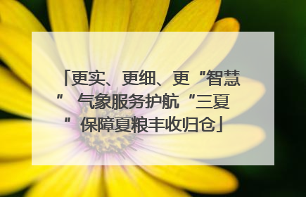 更实、更细、更“智慧” 气象服务护航“三夏”保障夏粮丰收归仓