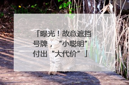 曝光！故意遮挡号牌，“小聪明”付出“大代价”