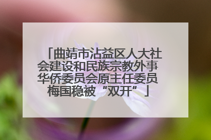曲靖市沾益区人大社会建设和民族宗教外事华侨委员会原主任委员梅国稳被“双开”