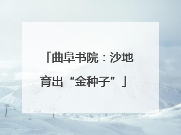 曲阜书院：沙地育出“金种子”