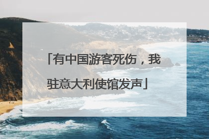 有中国游客死伤，我驻意大利使馆发声