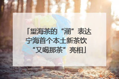 望海茶的“潮”表达 宁海首个本土新茶饮“又喝那茶”亮相