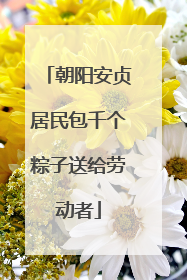 朝阳安贞居民包千个粽子送给劳动者