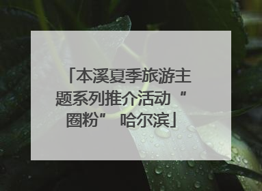 本溪夏季旅游主题系列推介活动“圈粉” 哈尔滨
