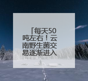 每天50吨左右！云南野生菌交易逐渐进入高峰期