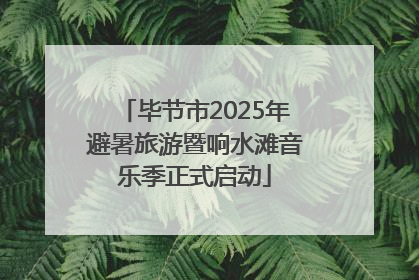 毕节市2025年避暑旅游暨响水滩音乐季正式启动