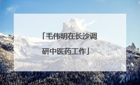 毛伟明在长沙调研中医药工作