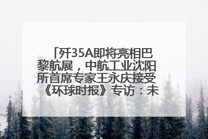 歼35A即将亮相巴黎航展，中航工业沈阳所首席专家王永庆接受《环球时报》专访：未来数量可以有很多