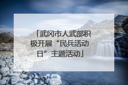 武冈市人武部积极开展“民兵活动日”主题活动