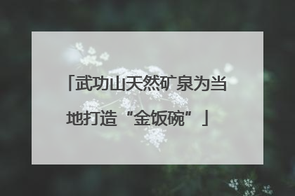 武功山天然矿泉为当地打造“金饭碗”