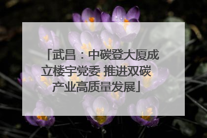 武昌：中碳登大厦成立楼宇党委 推进双碳产业高质量发展