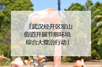 武汉经开区军山街道开展节前环境综合大整治行动