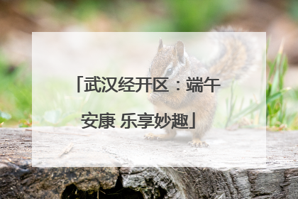 武汉经开区：端午安康 乐享妙趣