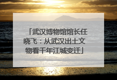 武汉博物馆馆长任晓飞：从武汉出土文物看千年江城变迁