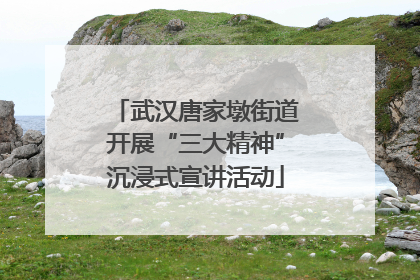 武汉唐家墩街道开展“三大精神”沉浸式宣讲活动