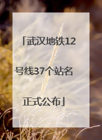 武汉地铁12号线37个站名正式公布