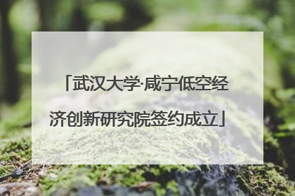 武汉大学·咸宁低空经济创新研究院签约成立