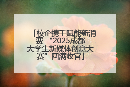 校企携手赋能新消费 “2025成都大学生新媒体创意大赛”圆满收官