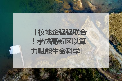 校地企强强联合！孝感高新区以算力赋能生命科学