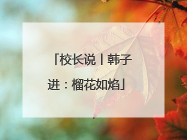 校长说丨韩子进：榴花如焰