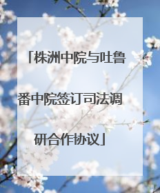 株洲中院与吐鲁番中院签订司法调研合作协议