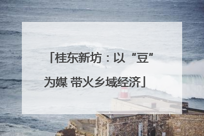 桂东新坊：以“豆”为媒 带火乡域经济