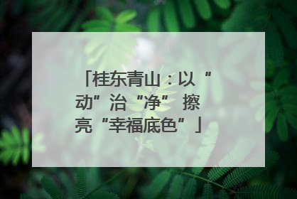 桂东青山：以“动”治“净” 擦亮“幸福底色”
