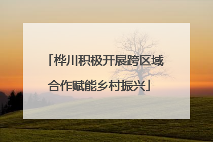 桦川积极开展跨区域合作赋能乡村振兴