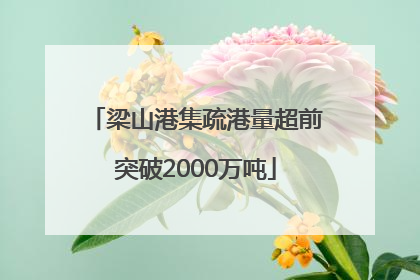 梁山港集疏港量超前突破2000万吨