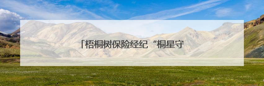 梧桐树保险经纪“桐星守护”关爱活动圆满举行