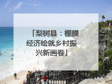 梨树县：棚膜经济绘就乡村振兴新画卷