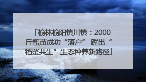 榆林榆阳镇川镇：2000斤蟹苗成功“落户” 蹚出“稻蟹共生”生态种养新路径