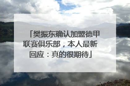 樊振东确认加盟德甲联赛俱乐部，本人最新回应：真的很期待