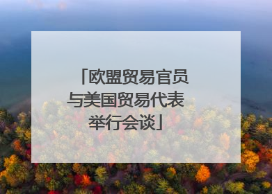 欧盟贸易官员与美国贸易代表举行会谈